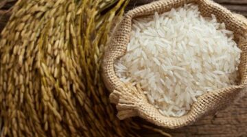 سعر طن الأرز الشعير اليوم الأحد 22 سبتمبر.. تذبذب الأسعار أم استقرار؟