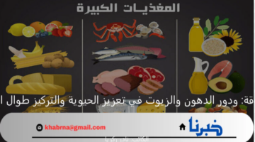 الطاقة.. ودور الدهون والزيوت في تعزيز الحيوية والتركيز طوال اليوم