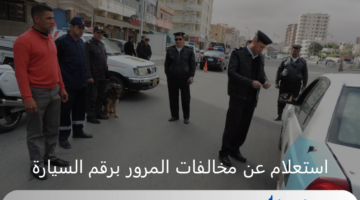 موقع النيابة العامة يعلن عن طريقة استعلام عن مخالفات المرور برقم السيارة 2024