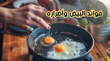 "حقيقة سوف تصدمك".. ماذا سيحدث لجسمك إذا تناولت يوميًا 3 بيضات هل هو مفيد ذلك أم مُضر؟