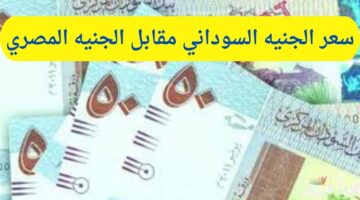 ما سعر الجنيه السوداني مقابل الجنيه المصري اليوم الأحد 20 أكتوبر 2024؟