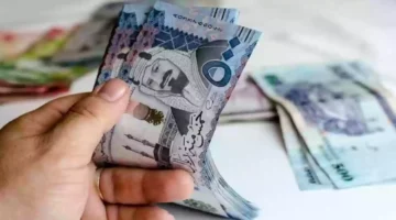 "الموارد البشرية توضح".. خطوات تسجيل المواليد في حساب المواطن 2024 والشروط