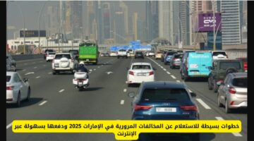 هناااا الكترونيا evg.ae.. رابط الاستعلام المخالفات المرورية برقم الرخصة في الإمارات 2025 البوابة الاتحادية للمركبات