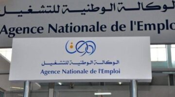 الوكالة الوطنية للتشغيل تعلن عن خبر هام للشباب في الجزائر «رابط التقديم»