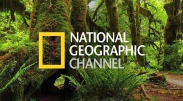 "لمتابعة عالم الطبيعة الخلابة"..استقبل تردد قناة ناشيونال جيوغرافيك National Geographic علي النايل والعرب سات
