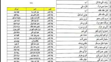 من هنا.. خطوات الاستعلام عن اسماء الرعاية الاجتماعية الوجبة الاخيرة 2025
