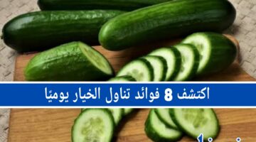اكتشف 8 فوائد تناول الخيار يوميًا.. من تحسين الهضم إلى تقليل التوتر