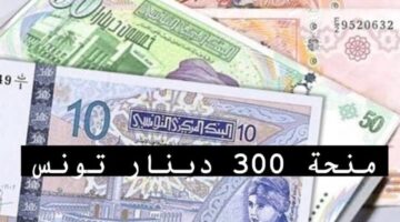 ماهي آخر المستجدات؟ .. التسجيل في منحة تونس 300 دينار تونسي social.gov.tn وشروط هامة للمتقدمين