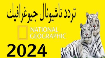 “استقبلها الآن“ تردد قناة ناشيونال جيوغرافيك 2025 على النايل والعرب سات