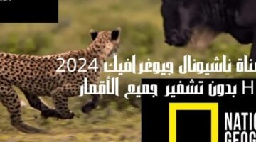 "لمتابعة البرامج الوثائقية".. استقبل الآن تردد قناة ناشيونال جيوغرافيك نايل وعرب سات 2024