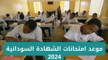 "باقي كم يوم؟؟".. جدول امتحانات الشهادة الثانوية السودانية 2024/2025 وفقا لما أعلنته وزارة التربية والتعليم