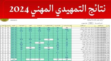 استخرجها بضغطة زر .. epedu.gov.iq كيفية الاستعلام عن نتائج السادس الإعدادي المهني لكل المحافظات العراقية بروابط رسمية PDF