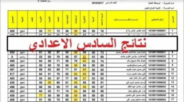 الآن تنزيل pdf رابط نتائج السادس الاعدادي 2024 results.mlazemna.com وزارة التربية العراقية موقع نتائجنا
