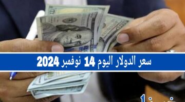 سعر الدولار اليوم الخميس 14 نوفمبر 2024 في البنوك المصرية: هل هناك مفاجآت