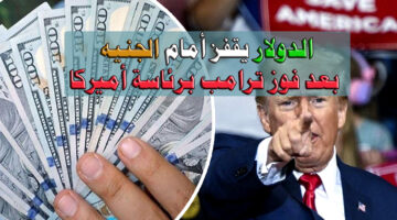 الدولار يقفز بعد فوز ترامب.. ارتفاع مفاجئ في سعر الدولار مقابل الجنيه اليوم