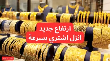 انزل اشتري الشبكة بسرعة.. ارتفاع سعر الذهب اليوم الثلاثاء في التعاملات 5 نوفمبر 2024 وعيار 21!