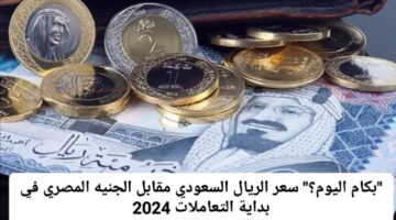 استقرار أم ارتفاع.. سعر الريال مقابل الجنيه المصري اليوم الخميس 14 نوفمبر 2024