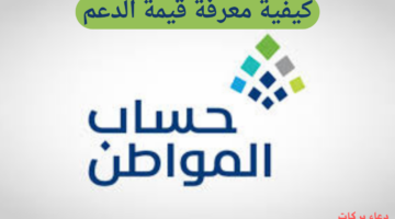 3 طرق لمعرفة قيمة الدعم المقدم من حساب المواطن.. تعرف عليها الآن