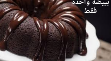 أسهل وأسرع وصفة لكيكة الشوكولاتة هشة ولذيذة وببيضة واحدة فقط