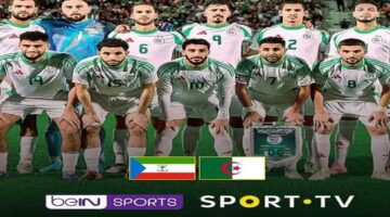 بتعليق دراجي.. متابعة مباراة الجزائر وغينيا الاستوائية في تصفيات أمم إفريقيا 2025 الشوط الاول 0:0