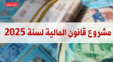 مشروع قانون المالية لسنة 2025 بالأرقام.. وزير المالية يوضح التفاصيل كاملة