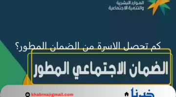كم تحصل الاسرة من الضمان المطور هذا الشهر دفعة يناير 2025؟.. "الموارد البشرية" تجيب