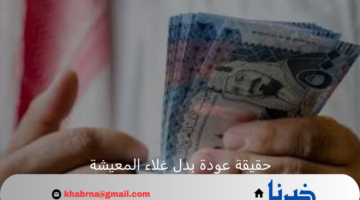 وزارة الموارد البشرية توضح حقيقة عودة بدل غلاء المعيشة 1446 - 2024 والفئات المستفيدة