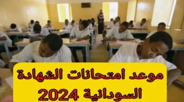 رابط رسمي مباشر .. التسجيل في في امتحان الشهادة السودانية 2025 وجدول الامتحانات للفترتين