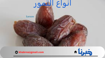 تعرف على .. أشهر انواع التمر في المملكة السعودية وفوائدها 2024