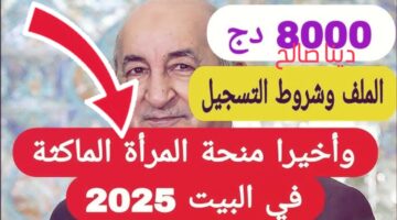 هل تـم زيادة منحة المرأة الماكثة في البيت!!.. هنـايا رابط التسجيل في منحة المرأة الماكثة في المنزل عبر الوكالة الوطنية للتشغيل