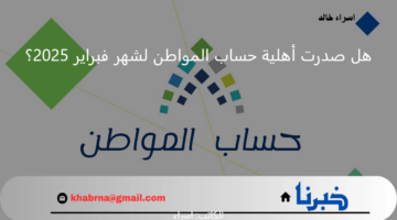 هل صدرت أهلية حساب المواطن لشهر فبراير 2025؟.. البرنامج يجيب موضحًا مدة دراسة الطلب