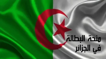 "بخطوات سهلة" رابط تجديد منحة البطالة في الجزائر 2025 والشروط المطلوبة
