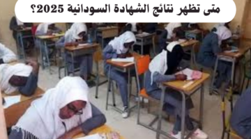 متى تظهر نتائج الشهادة السودانية 2025 وكيف يمكن الاستعلام عنها؟