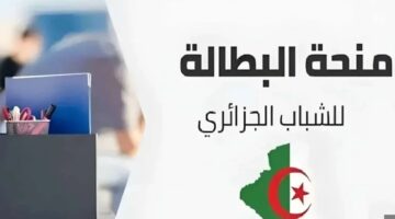 كيف يتم تجديد منحة البطالة؟.. وما هي أبرز الشروط المطلوبة؟