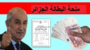 هنايـا التسجيل في منحة البطالة بالجزائر 2025 minha.anem.dz موقــع الوكـالة الوطنية للتشغيل.. هل هناك زيادة قبل رمضـــــان!