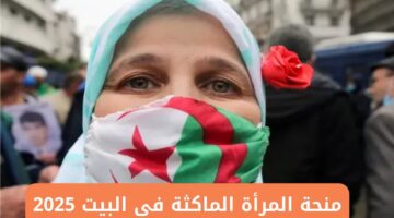 من هنا.. رابط للتسجيل في منحة المرأة الماكثة في البيت 2025 والشروط المطلوبة