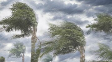 خبير الأرصاد خالد الزعاق يوضح موعد بداية موسم الشبط ودرجات الحرارة اليوم