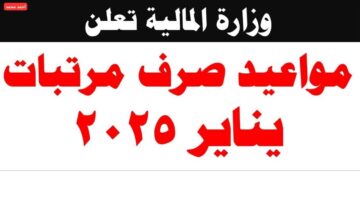 جهز الفيزا.. تبكير موعد صرف مرتبات شهر يناير 2025 وطريقة الاستعلام