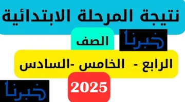 موعد نتيجة المرحلة الابتدائية الترم الأول 2025 برقم الجلوس في 27 محافظة