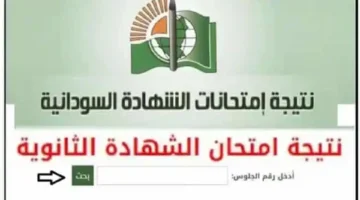 نتائج الشهادة السودانية 2025 احصل الآن على الرابط الرسمي ترقبوا النتيجة خلال ساعات