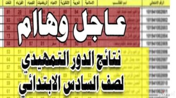 رابط مباشر وسريع.. نتائج السادس الابتدائي الدور التمهيدي 2025 محافظة نينوي