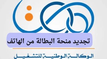 تجديد منحة البطالة من الهاتف .. أهم الشروط وطريقة التسجيل الجديدة 2025