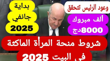 "الوكالة الوطنية للتشغيل".. تعلن رابط التسجيل في منحة المرأة الماكثة في البيت 2025 وما هي شروط منحة ربة البيت؟