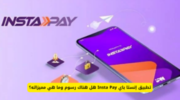 المنظومة الوطنية للمدفوعات اللحظية تكشف عن الرسوم الجديدة لـ تطبيق انستا باي