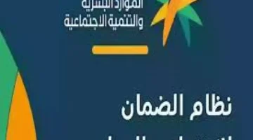 إصدار بطاقة الضمان الاجتماعي الرقمية في دقائق: دليل سريع وسهل