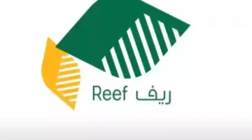 هل يؤهل مشروعك لدعم ريف للأسر المنتجة في 1446؟ اكتشف الشروط الآن!