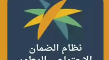 زيادة جديدة في الضمان المطور.. اكتشف خطوات إضافة الملحقات والمستندات الضرورية!