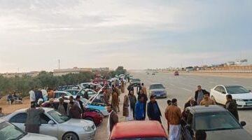 اكتشف أنواع المركبات النقلية الأكثر ترخيصًا في مارس 2025