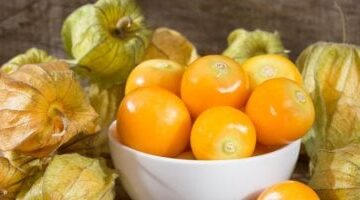 تسالى العيد.. الحرنكش يرطب جسمك ويضبط سكرك ويحميك من العدوى