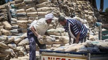سعر الأسمنت اليوم الثلاثاء 27 مايو 2025: الطن يصل إلى 4000 جنيه